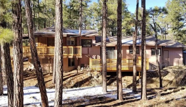 The Cabin in the Pines