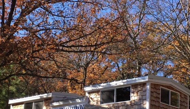 TINY HOUSE experience on the Cedar Creek Lake with lake view. 26mi to Canton! in Malakoff