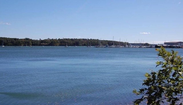 Waterfront Cottage: Spectacular Views! Includes Kayaks, Grill, Fire Pit
