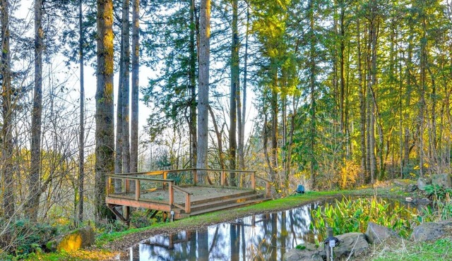Wine Country Horse Farm Cabin Near Wineries!