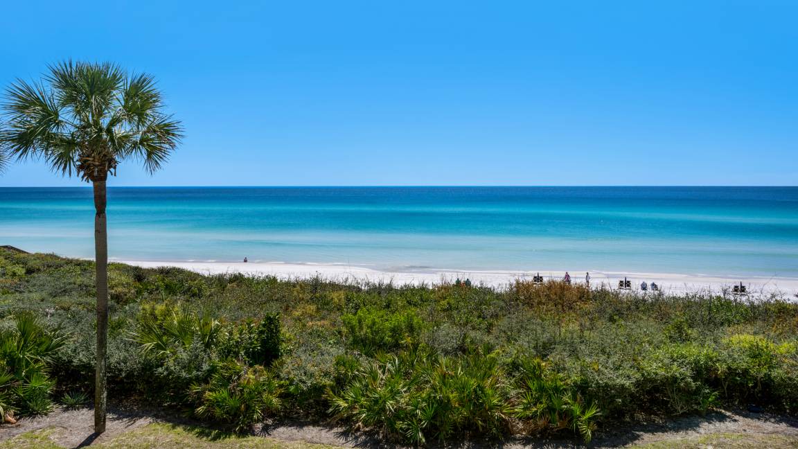 Photo of Outdoor in Seagrove Beach
