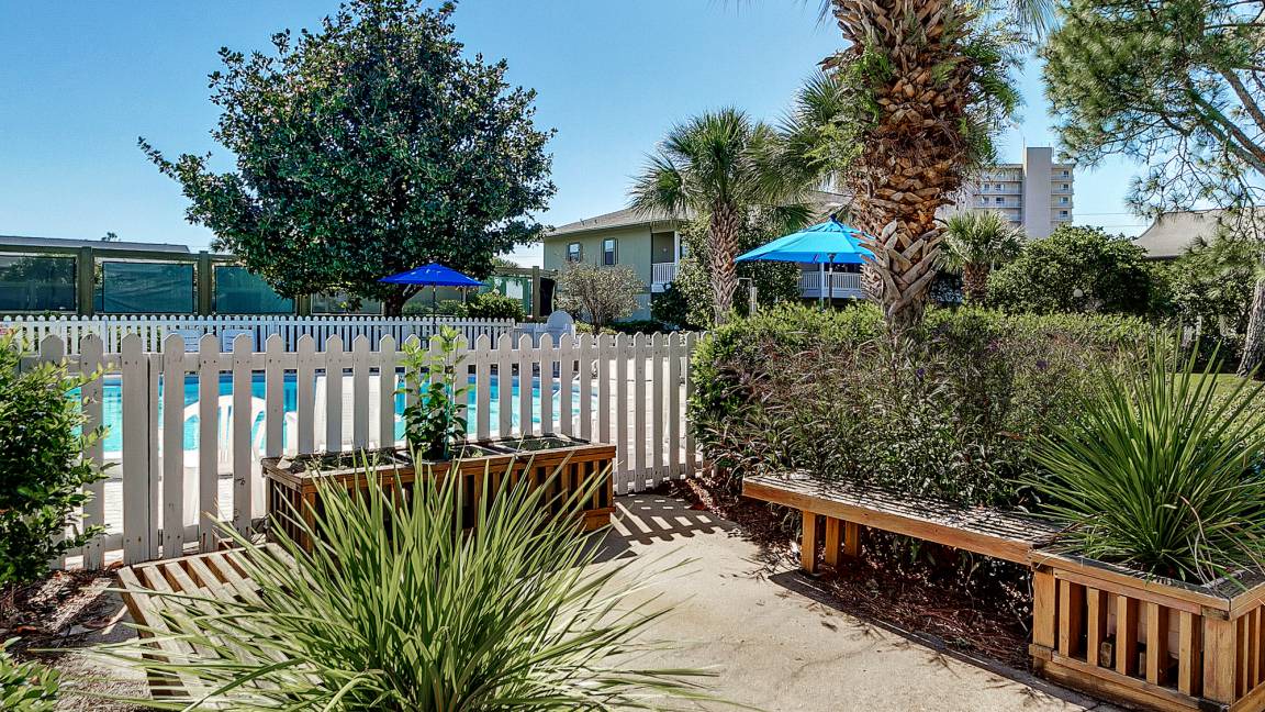 Photo of Others in Seagrove Beach