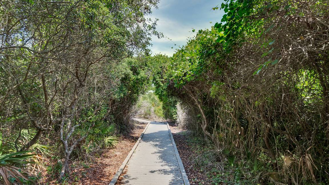 Photo of Others in Seagrove Beach