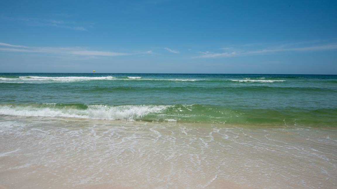 Photo of Others in Seagrove Beach