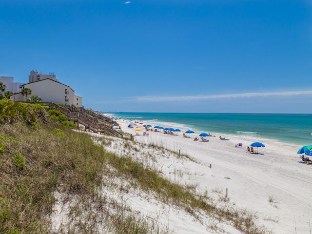 Photo of Outdoor in Gulf Mist