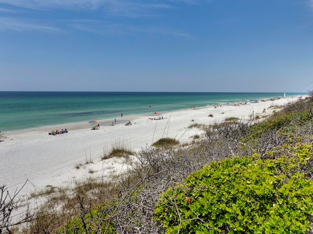 Photo of Outdoor in Gulf Mist