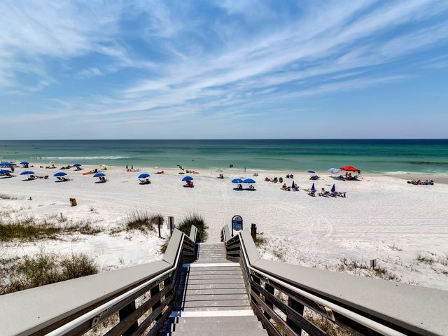 Photo of Outdoor in Gulf Mist
