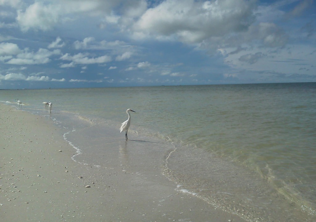 Photo of Others in Palm River Estates
