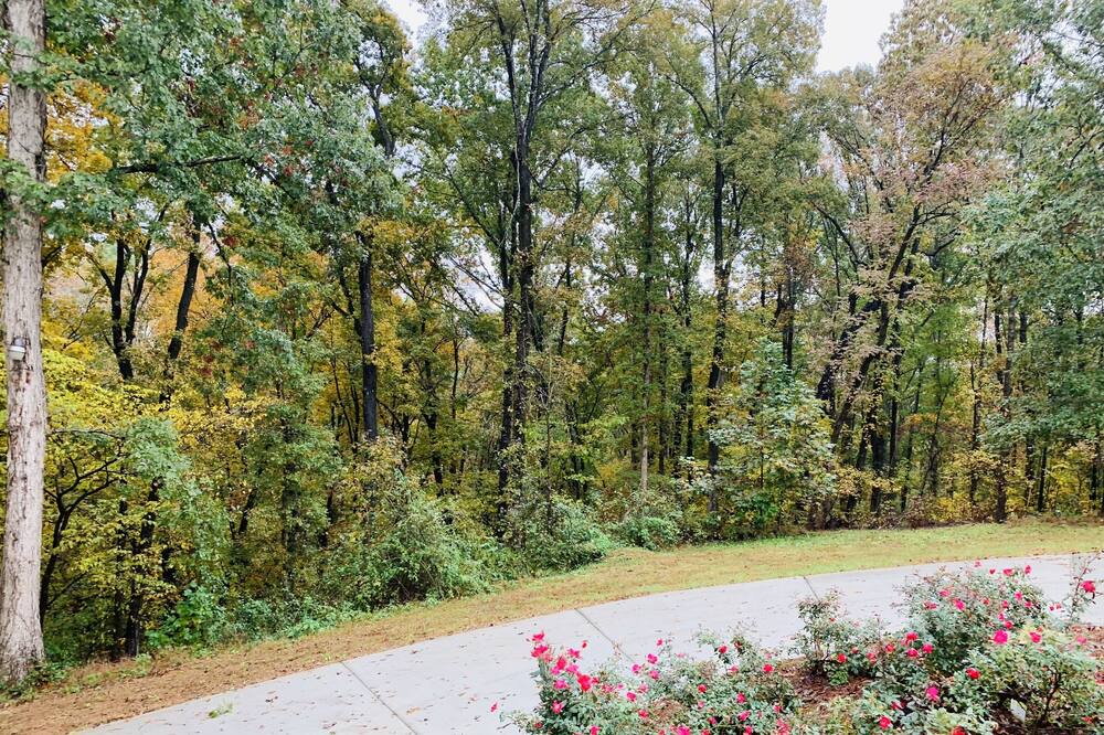 Photo of Outdoor in Braselton