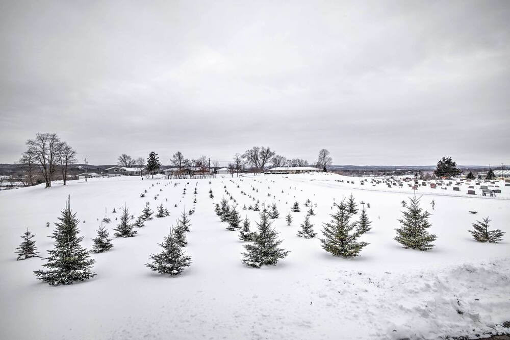 Photo of Outdoor in Sparta