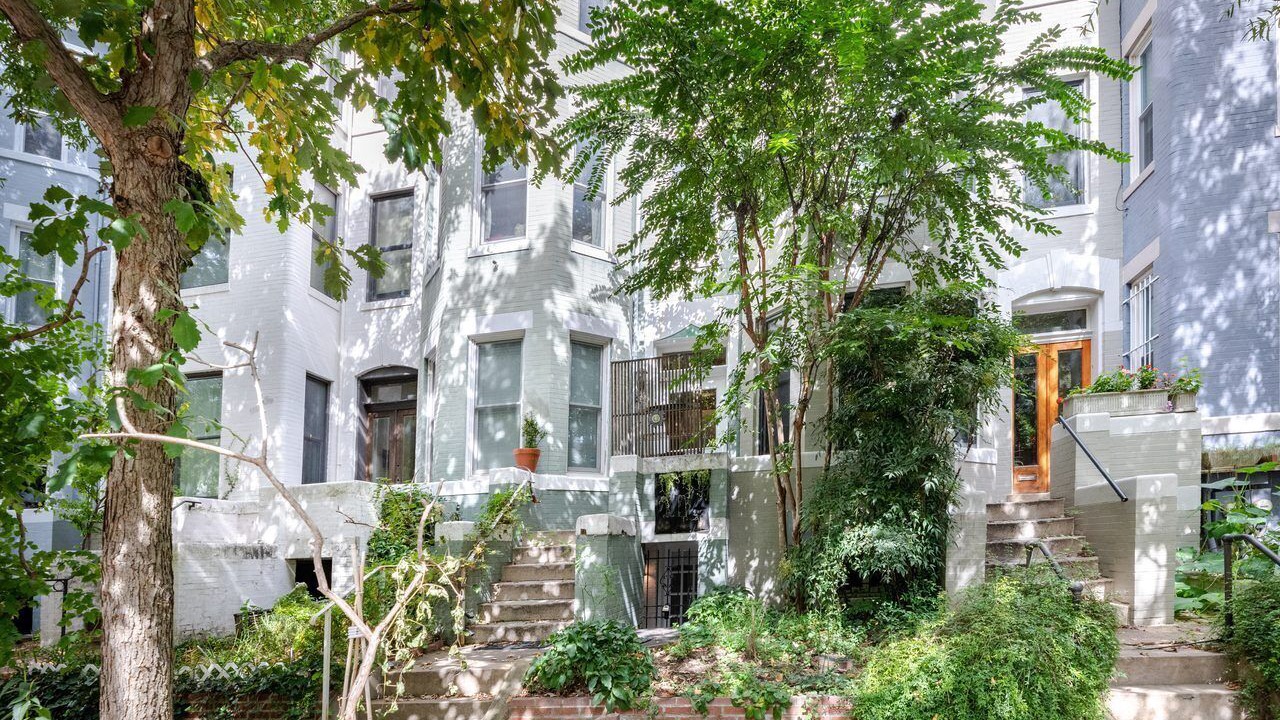 Photo of Outdoor in Adams Morgan