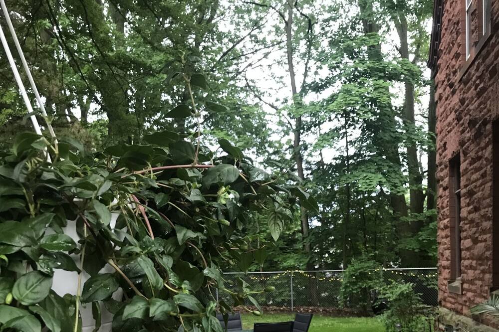 Photo of Outdoor in Fredonia