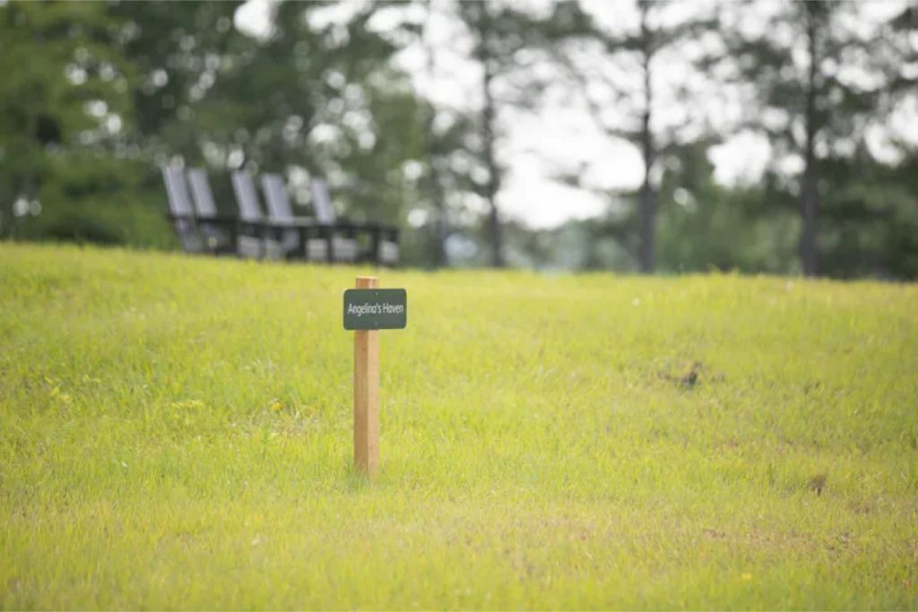 Photo of Outdoor in Cottondale