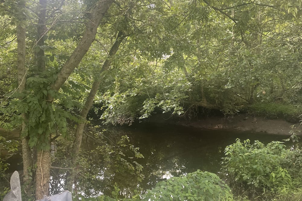 Photo of Outdoor in Golts