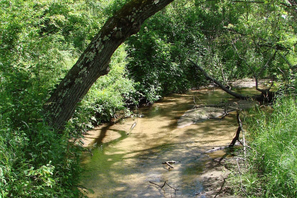 Photo of Outdoor in Jim Falls
