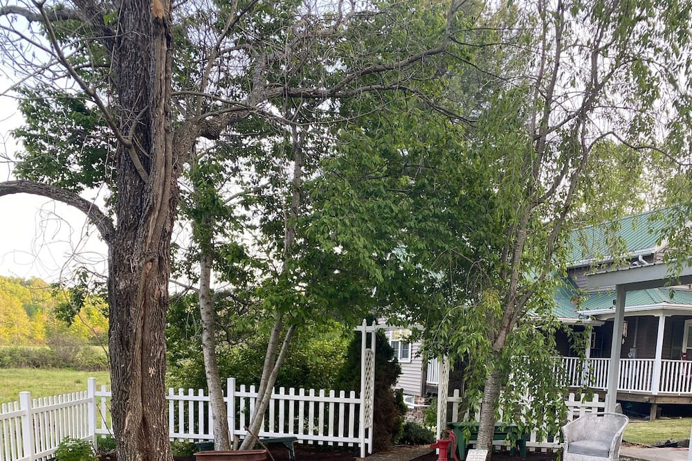 Photo of Outdoor in Arnot