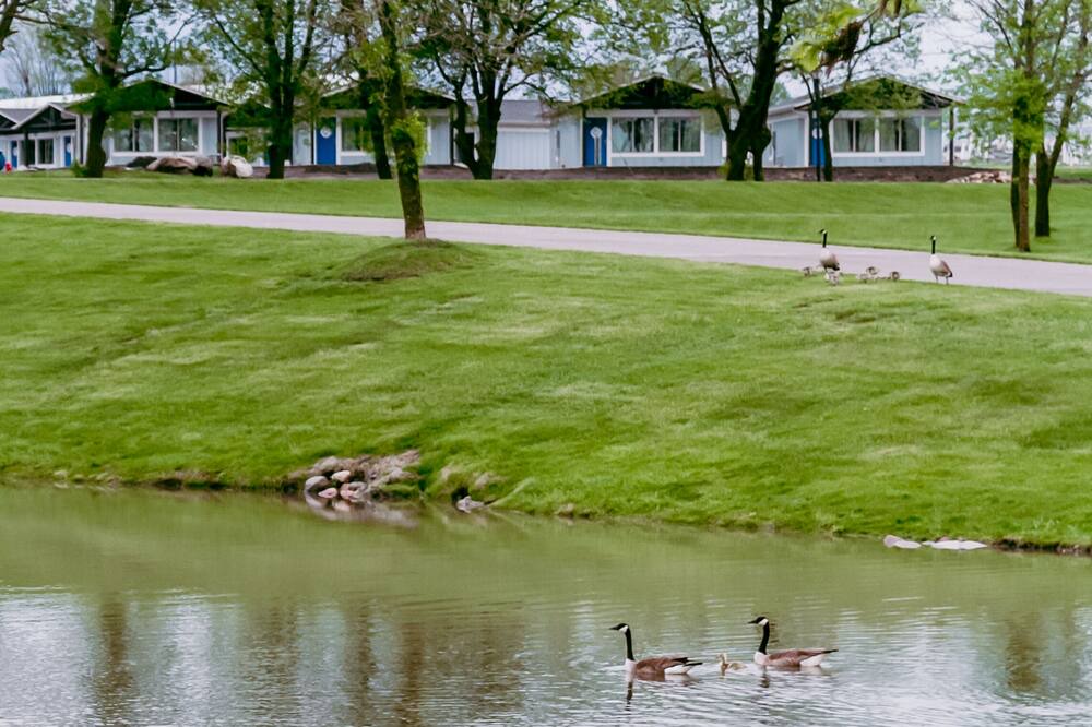 Photo of Others in Arnolds Park