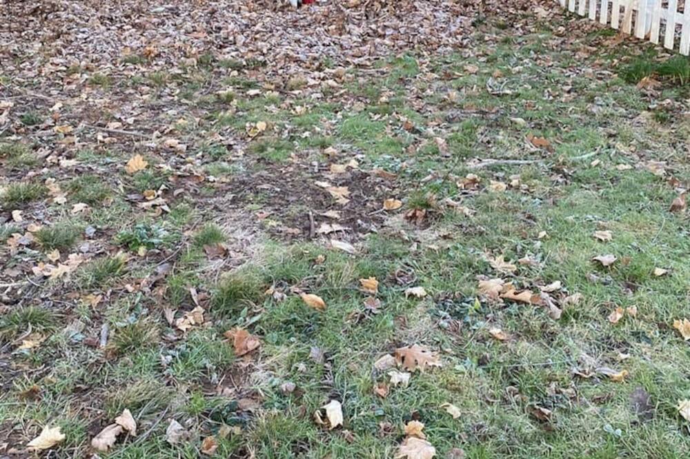 Photo of Outdoor in Middletown