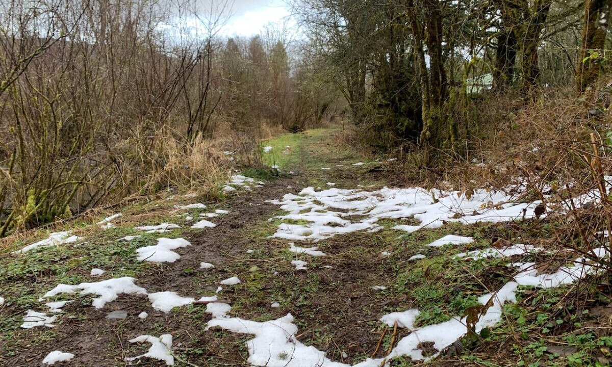 Photo of Outdoor in Yacolt