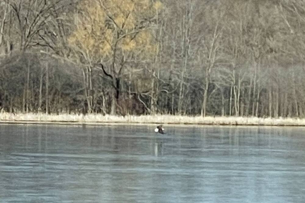 Photo of Others in Whitmore Lake