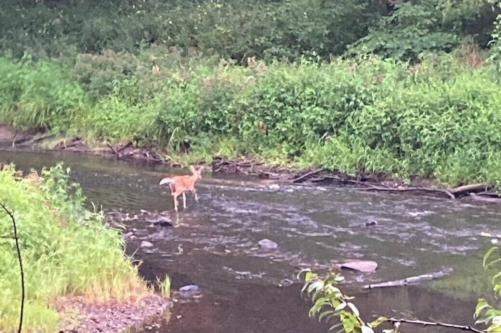 Photo of Others in Merrimack