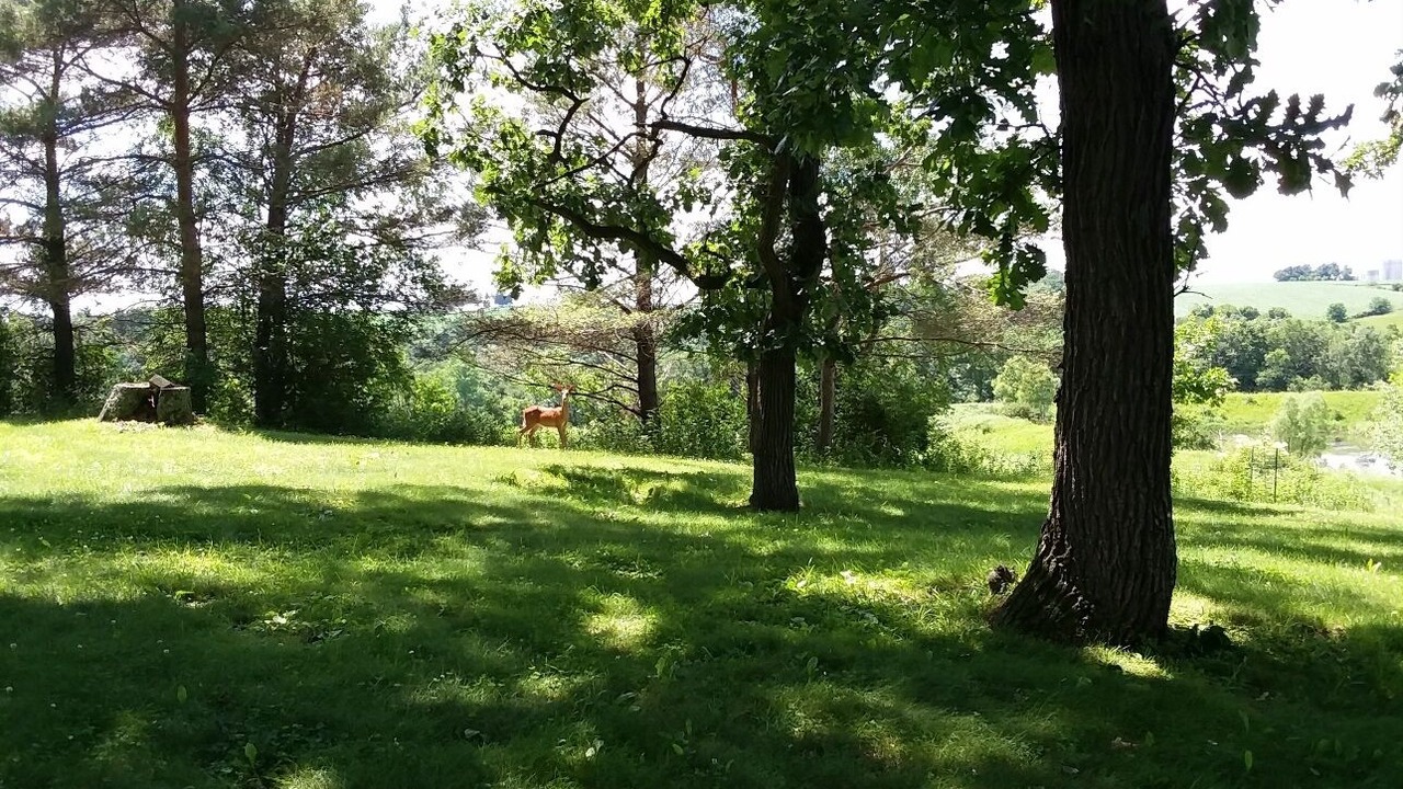 Photo of Outdoor in Mineral Point