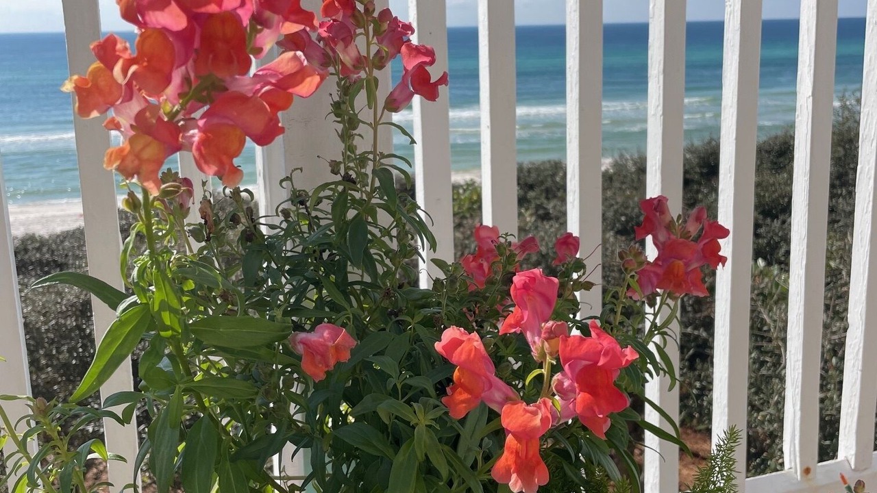 Photo of Outdoor in Rosemary Beach