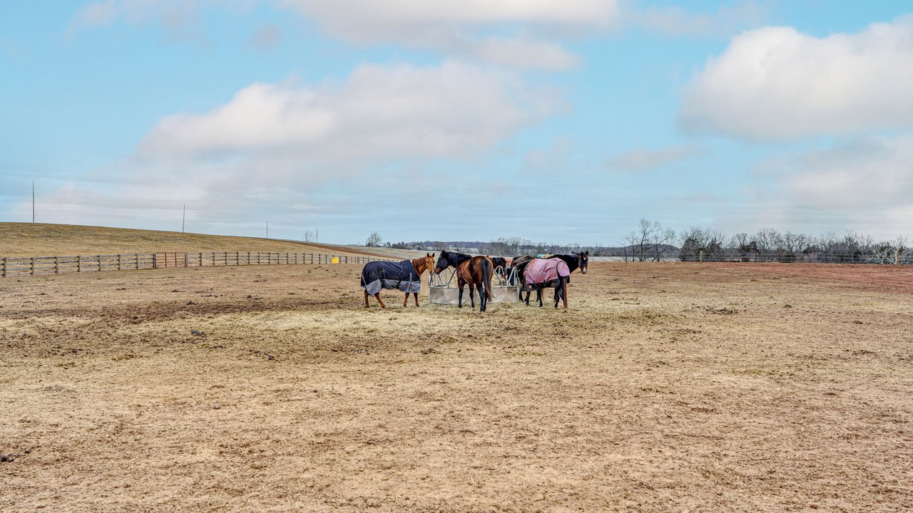 Photo of Others in Ladiesburg