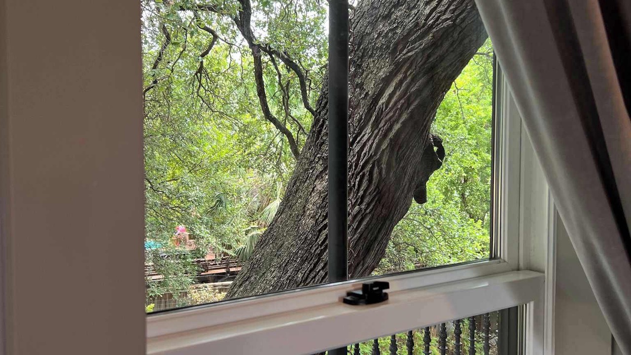 Photo of Outdoor in Swede Hill