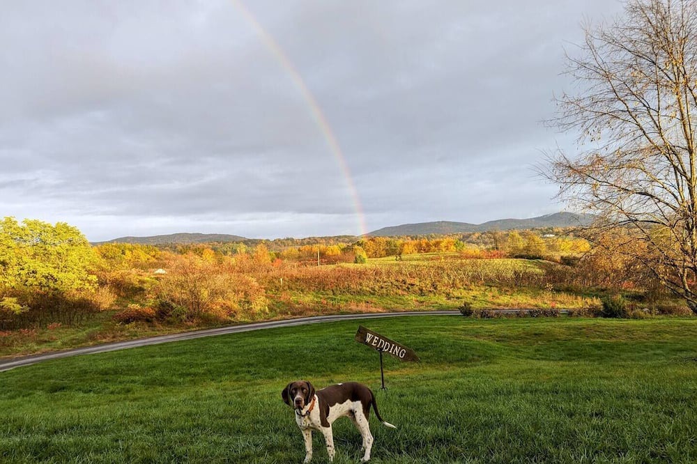 Photo of Others in Schuylerville