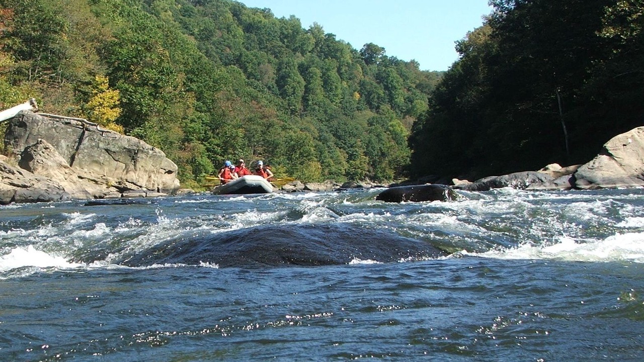 Photo of Others in Ohiopyle