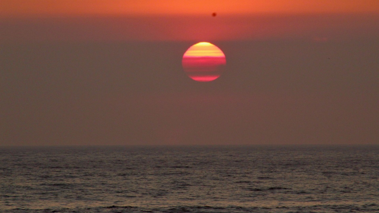 Photo of Others in Seabrook