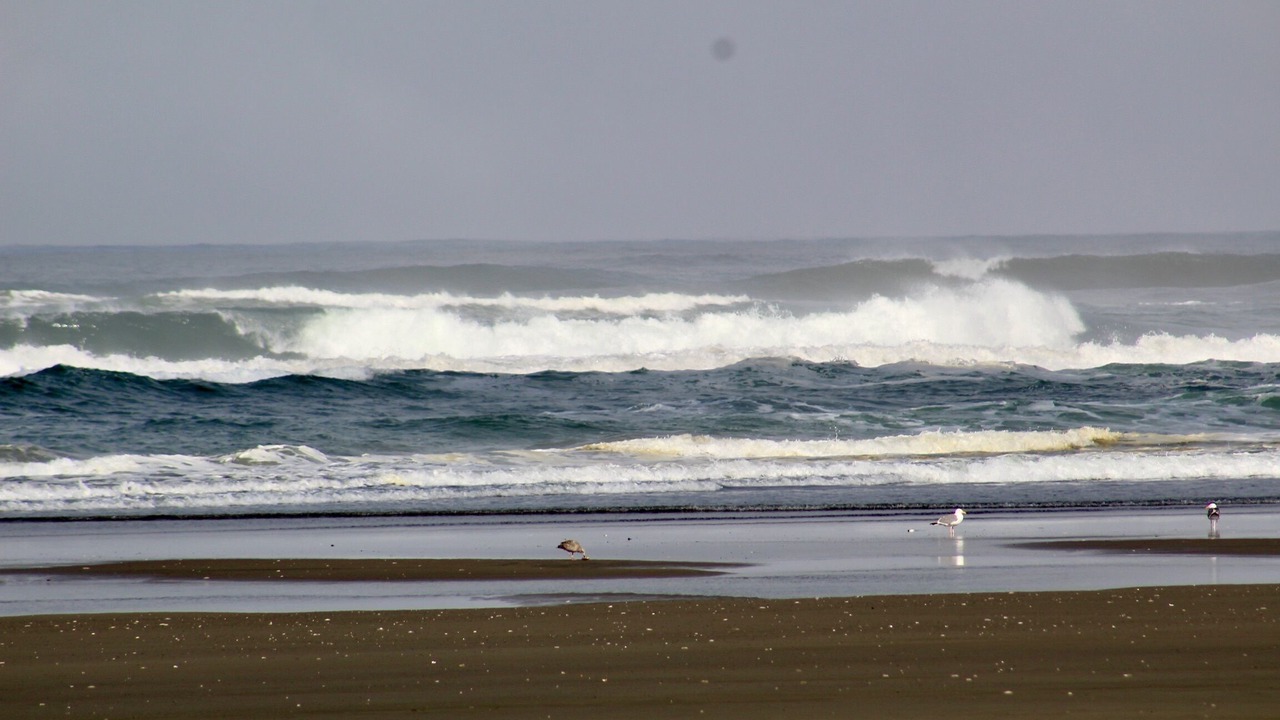 Photo of Others in Seabrook