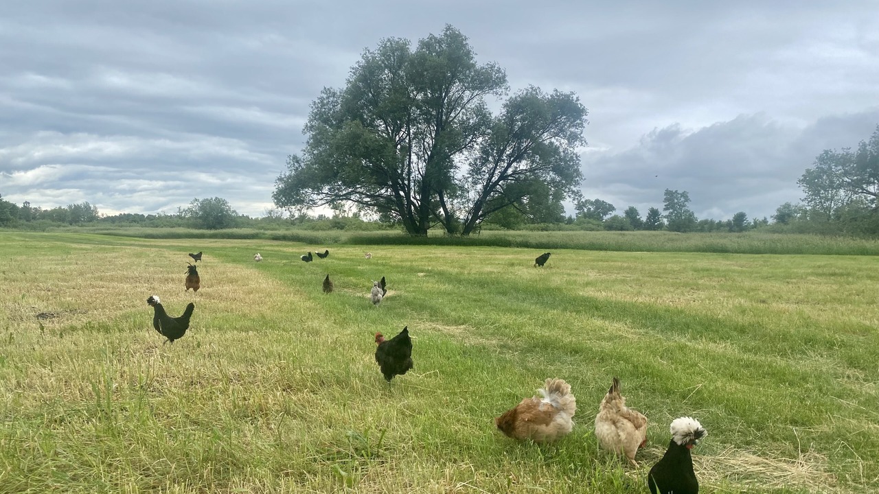 Photo of Outdoor in Stearns County