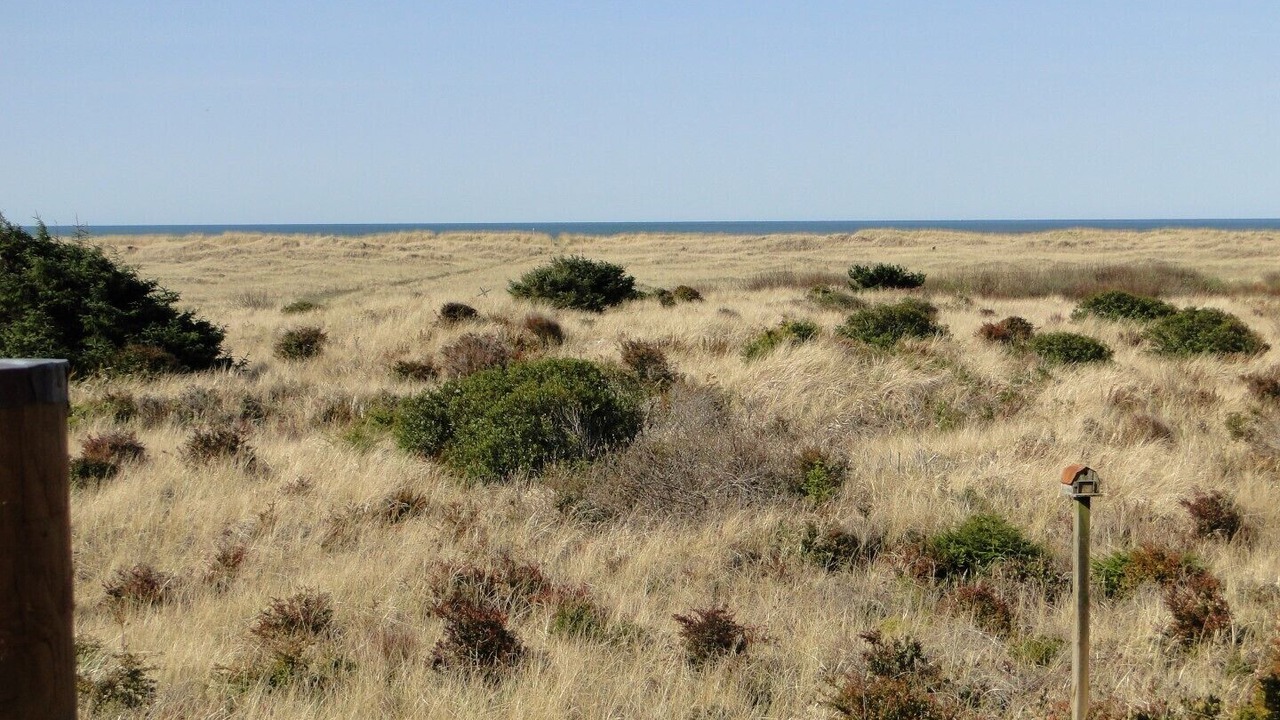 Photo of Others in Copalis Beach