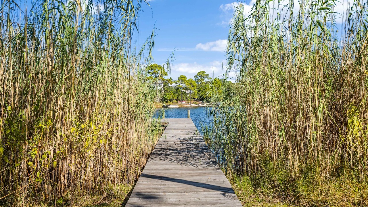 Photo of Outdoor in Grayton Beach