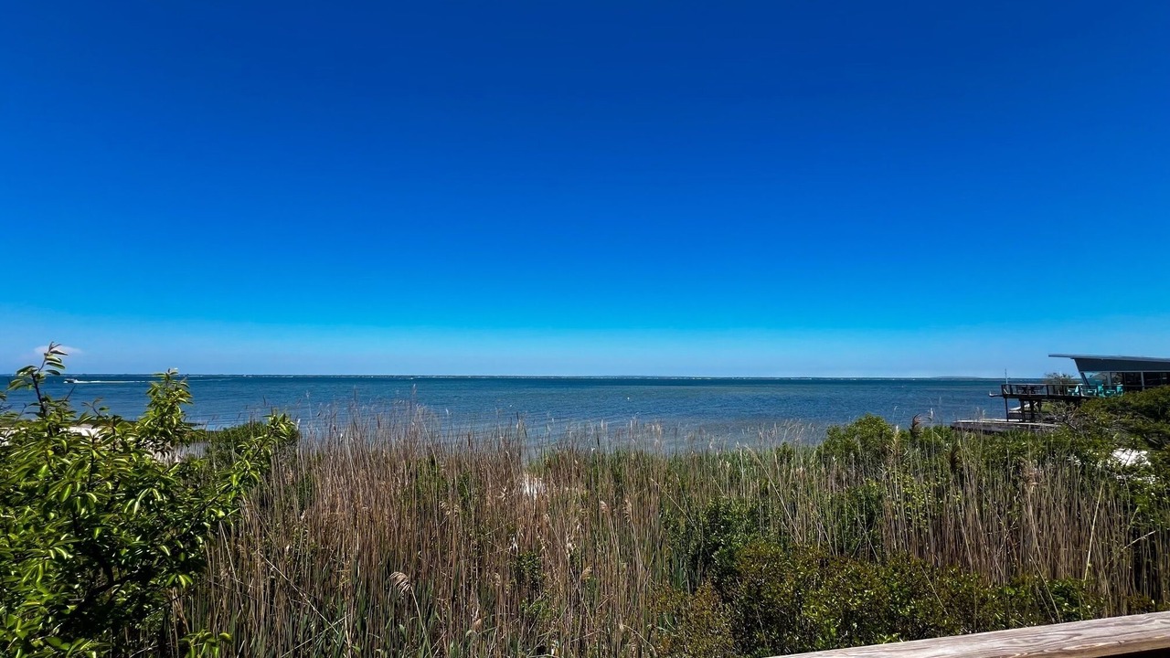 Photo of Others in Bayberry Dunes