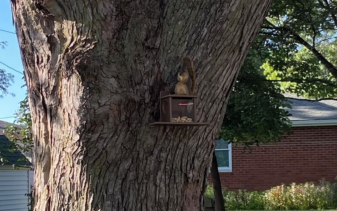 Photo of Outdoor in Knoxville