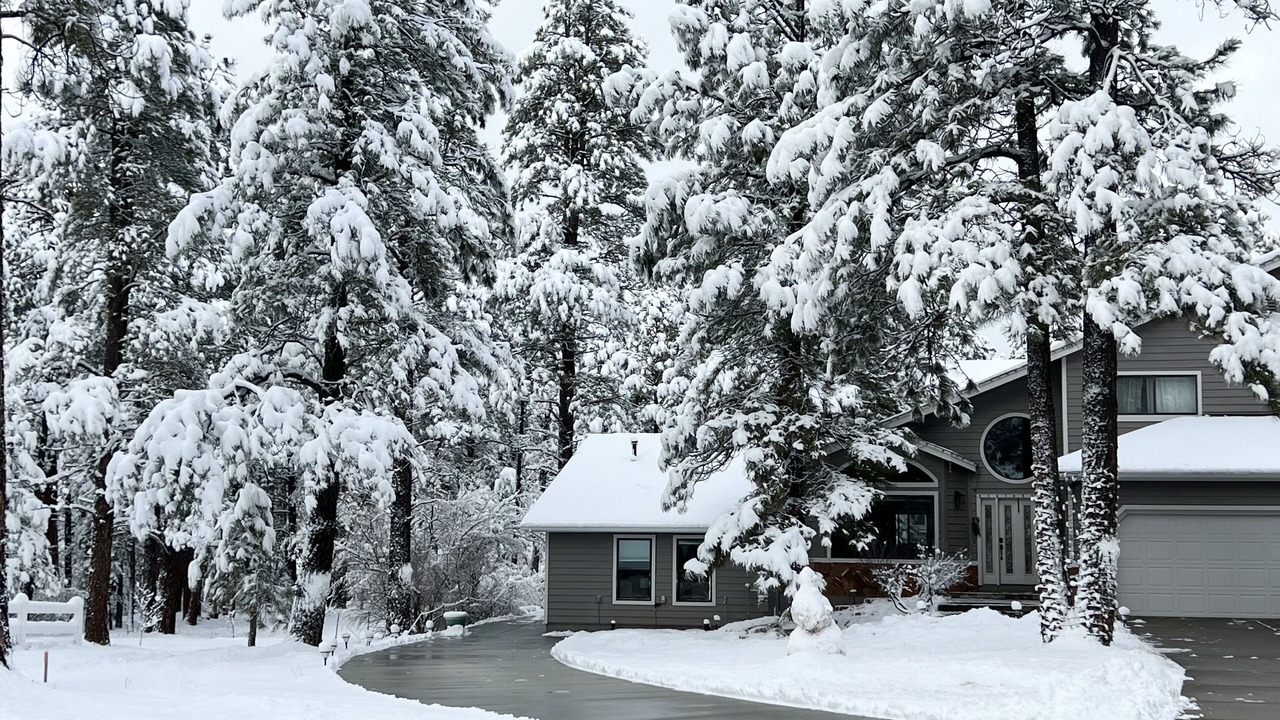 Photo of Outdoor in Flagstaff