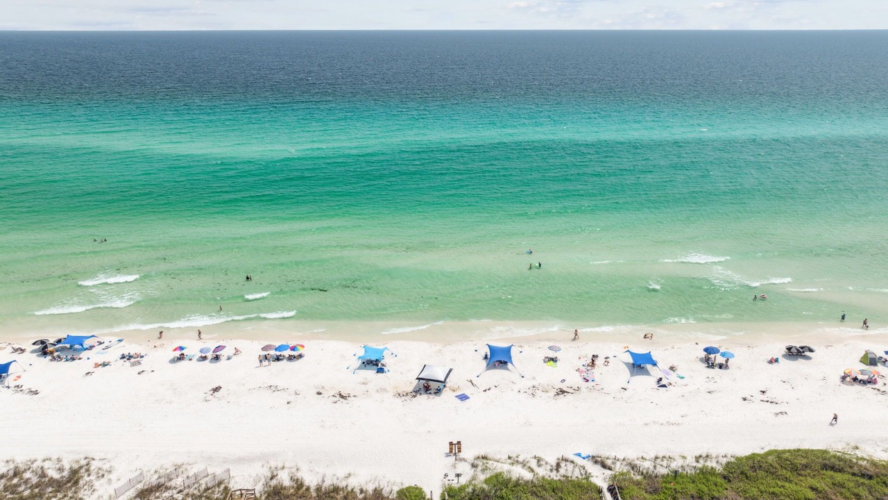Photo of Others in Gulf Place