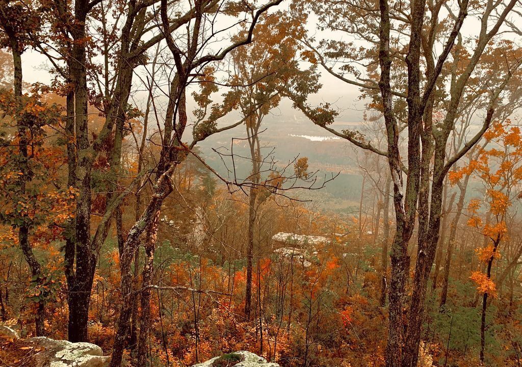 Photo of Others in Valley Head