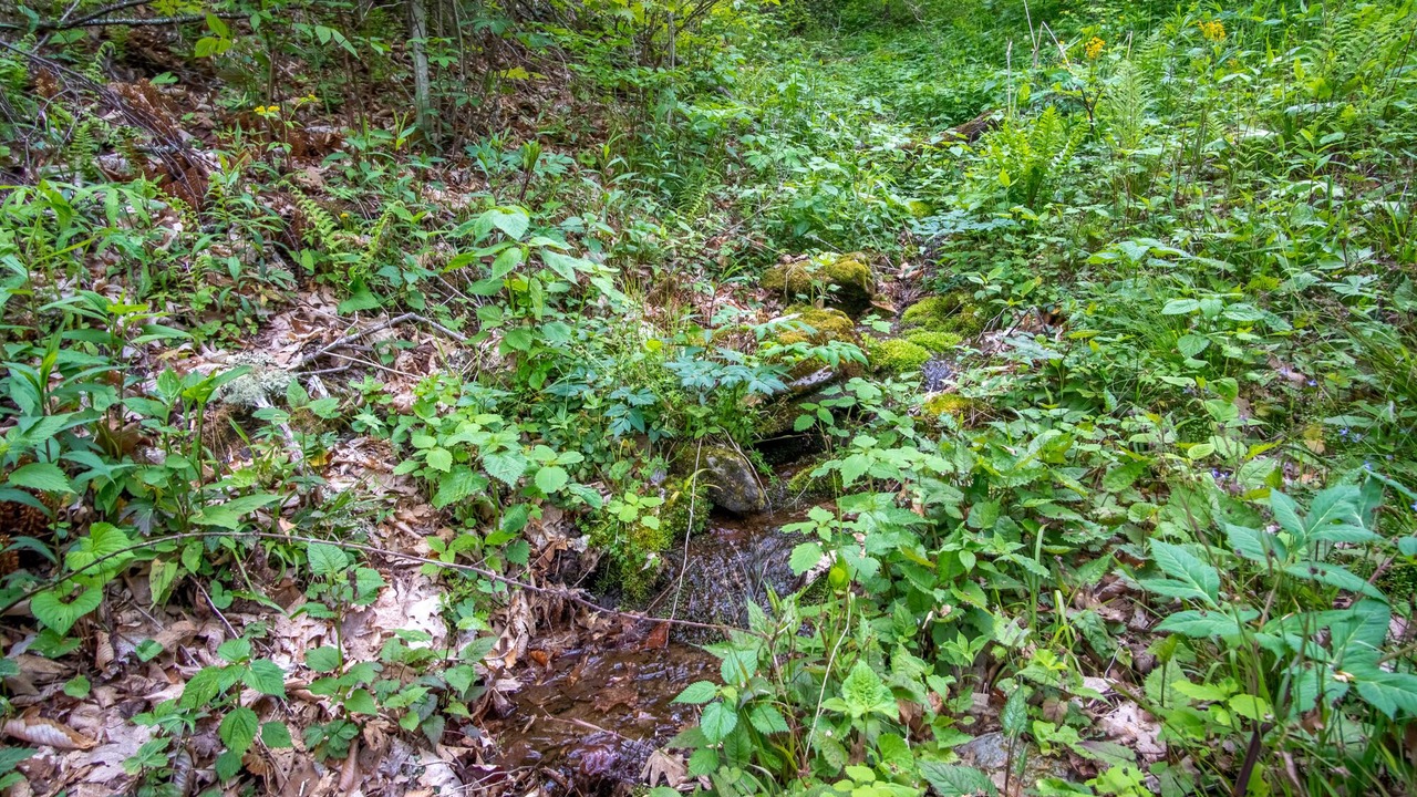 Photo of Others in Cranberry Falls