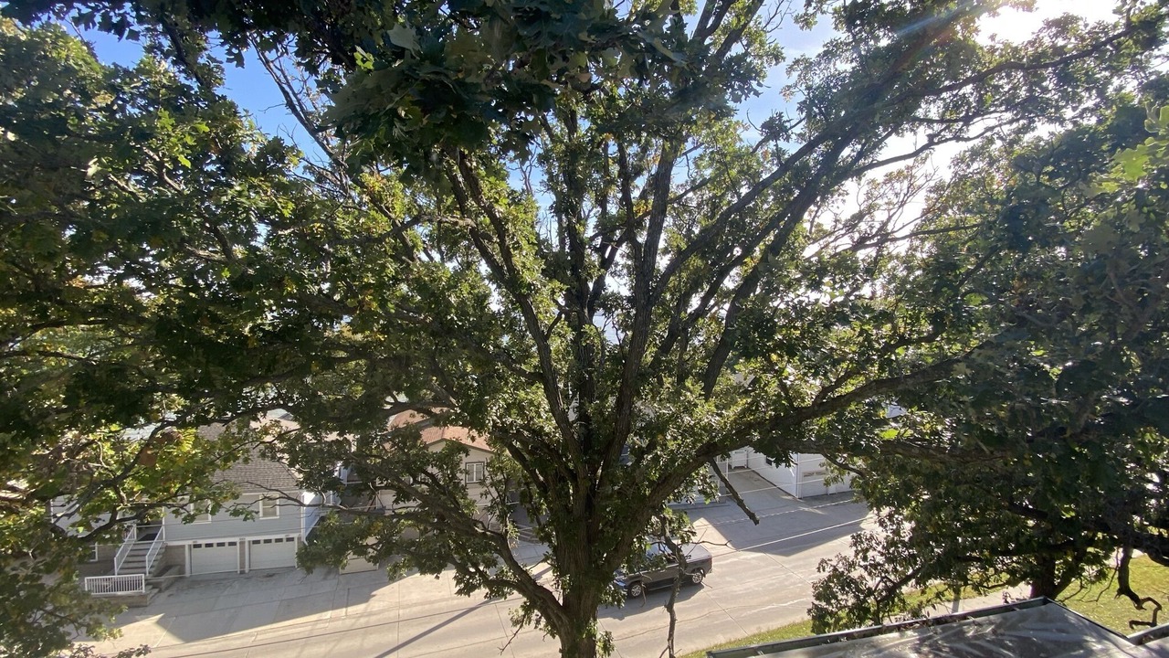 Photo of Outdoor in Clear Lake