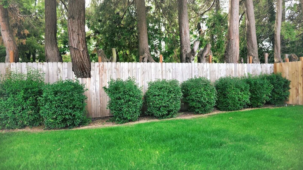 Photo of Outdoor in Keizer