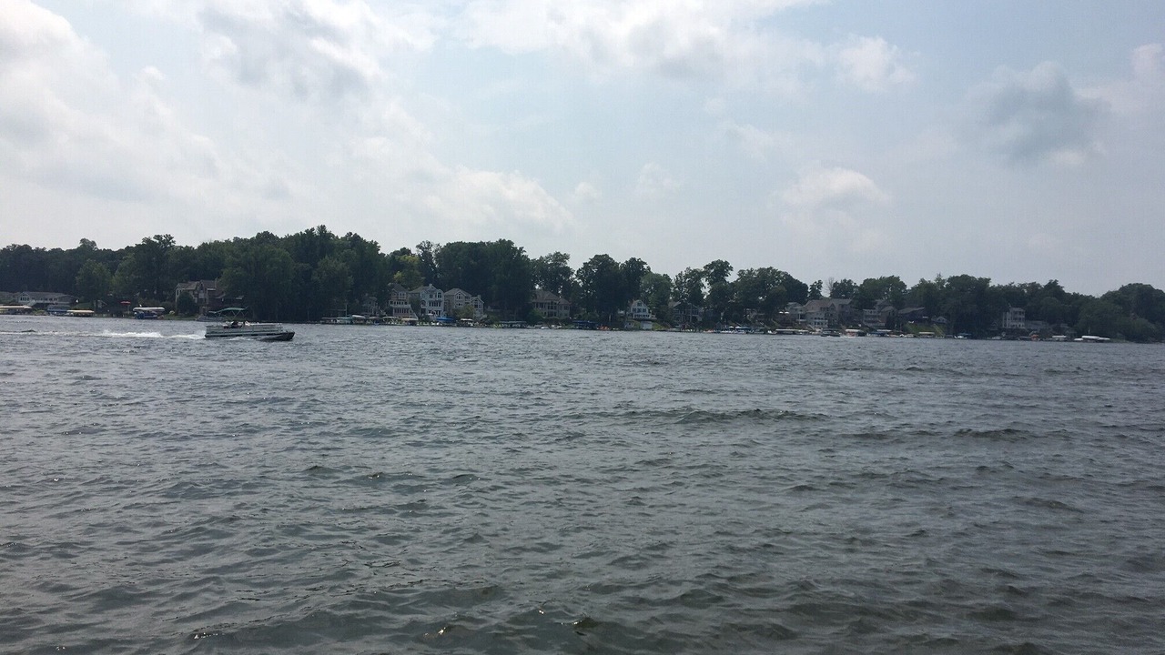 Photo of Others in Leesburg