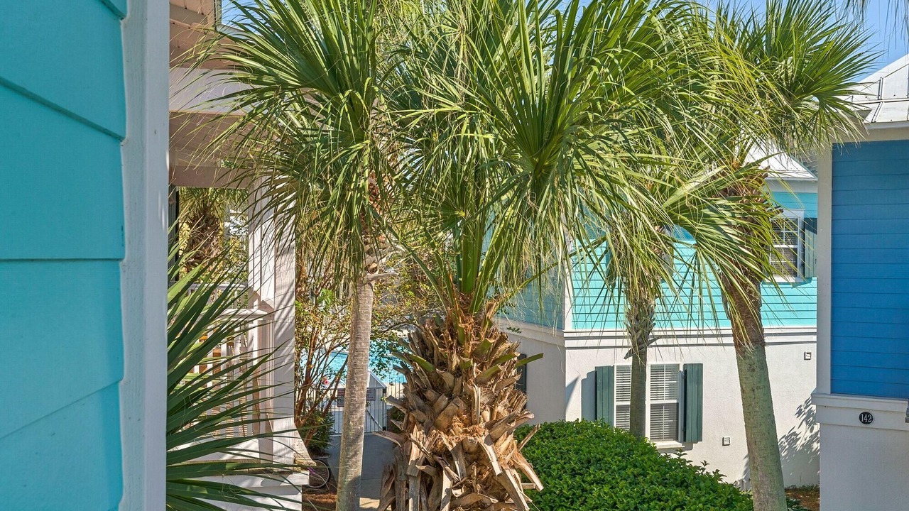 Photo of Outdoor in Seagrove Beach