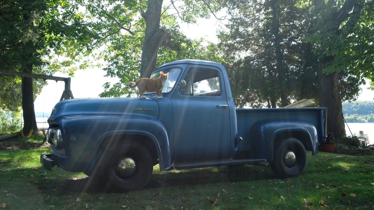 Photo of Outdoor in Idlewild