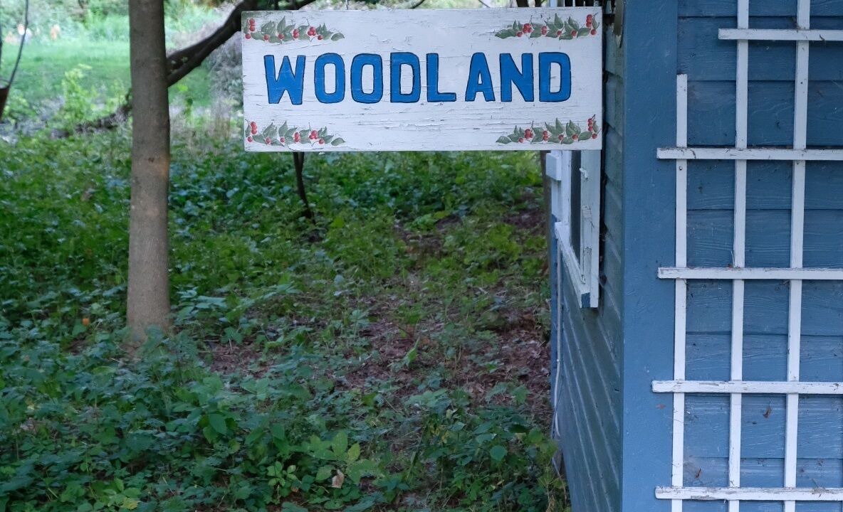 Photo of Outdoor in Idlewild