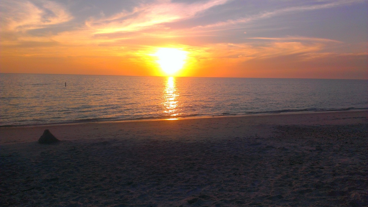 Photo of Others in North Naples