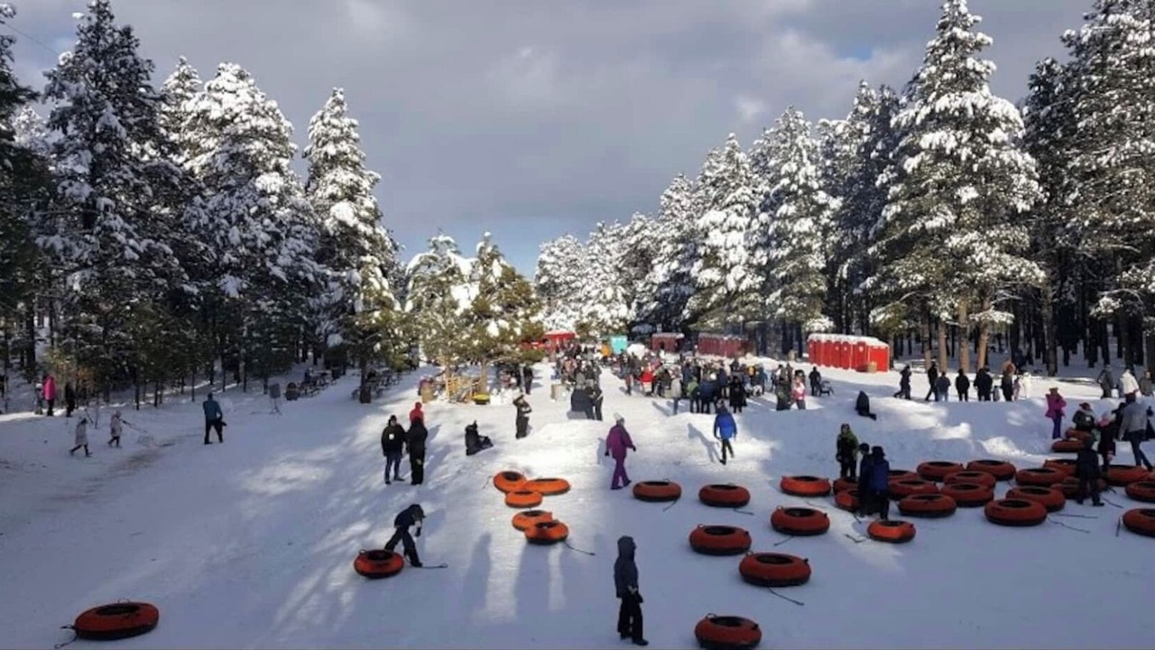 Photo of Others in Flagstaff